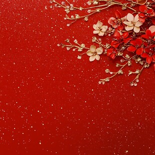 红梅金枝闪亮雪