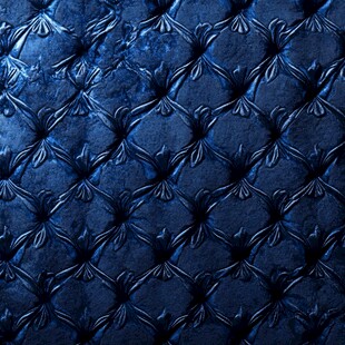 深蓝天鹅绒的奢华之家