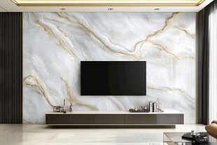 现代客厅大理石背景墙设计