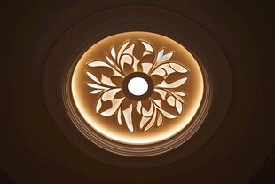 暗室中的精致曼陀罗