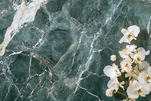 绿色大理石与白色兰花