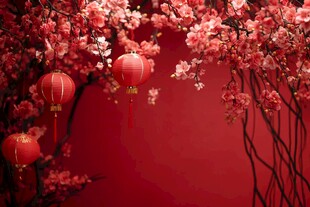 中国新年喜庆红灯笼与梅花图案