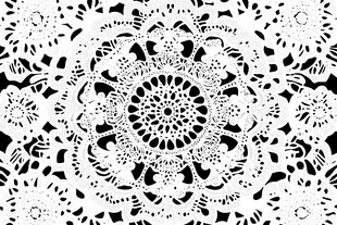 白色蕾丝曼陀罗