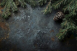 自然之美 松果与常青枝在复古金属背景上的静物画