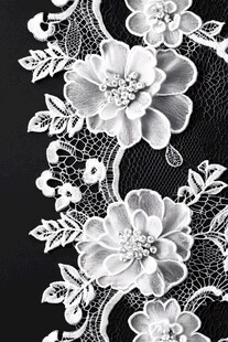 绚丽花边蕾丝
