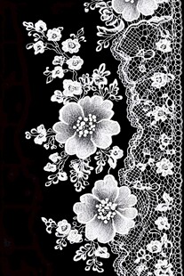 黑白蕾丝花纹