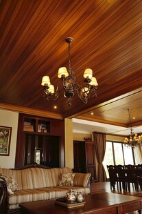 豪华室内设计 木质天花板和家具