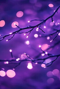 紫光闪烁的树枝