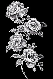 黑白花卉图案