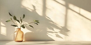 阳光下的简约之美