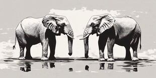 两大象相对而立