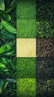 绿色植物纹理的多样性