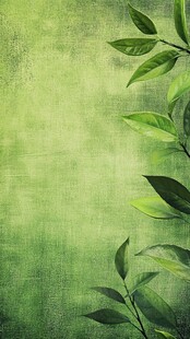 绿色生机 自然背景