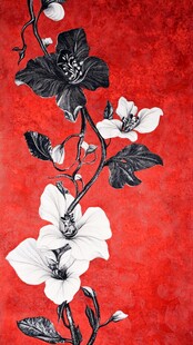 红色背景上的白色花朵