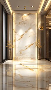 豪华大理石室内设计