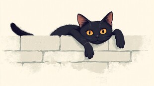好奇的黑猫越过墙头