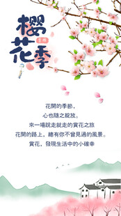 樱花季
