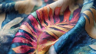 五彩斑斓的树叶图案