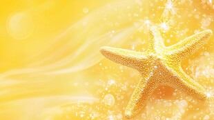 海洋之星的璀璨光芒