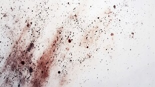 血迹斑斑的白墙