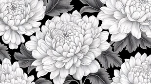 黑白花卉图案