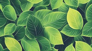 绿色叶子纹理背景