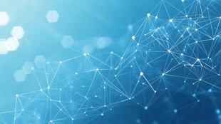 数字化转型的复杂网络