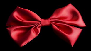 红色缎面蝴蝶结