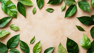 绿色叶子与米色背景的自然融合