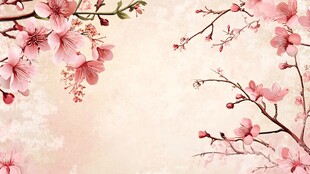 春日里 樱花盛开