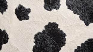 牛皮纹理与黑白斑点