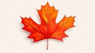 枫叶的秋日韵味