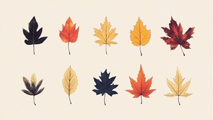 秋日之美 枫叶的色彩变幻