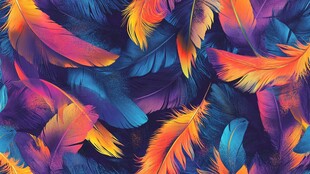 五彩斑斓的羽毛世界