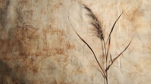 枯木落叶映衬古老墙面