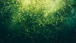 绿色植被覆盖的墙面