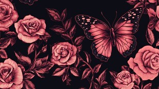 黑暗中的玫瑰与蝴蝶