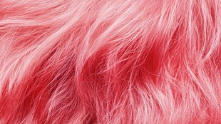 红色毛绒纹理