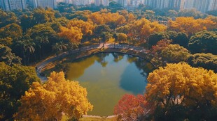 城市中的秋日湖泊