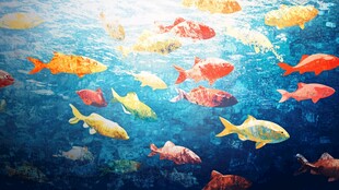 水下世界的色彩斑斓