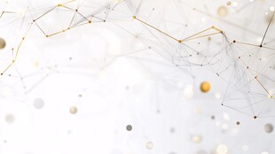 抽象的网络连接