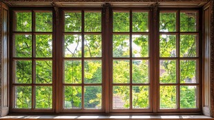 绿色树木透过木窗照进室内