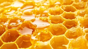 蜂巢中的金黄甜蜜蜂蜜