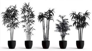 五款盆栽竹子3D模型展示