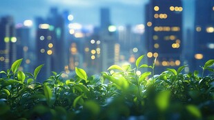 城市夜景下的盎然绿植