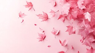 粉色枫叶飘落浪漫背景