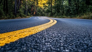 林间蜿蜒公路的美丽景致