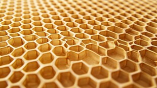 蜂巢纹理特写