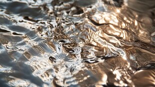 波光粼粼的水面纹理