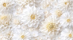 纯白花卉背景图案